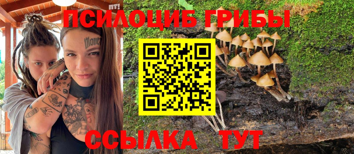 Галлюциногенные грибы GOLDEN TEACHER Юрга